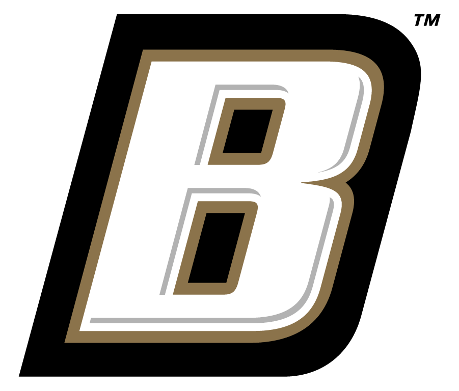 Bryant Bulldogs 2004-Pres Secondary Logo diy DTF decal sticker